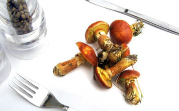 Sagra delle tacchie ai funghi porcini 1332 0 Sagra delle tacchie ai funghi porcini
